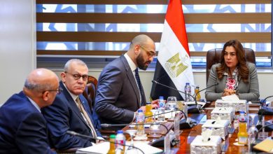 وزيرة التنمية