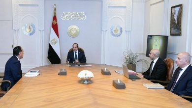 رئيس السيسي