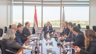 وزير الاستثمار