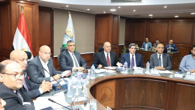 محافظ الجيزة