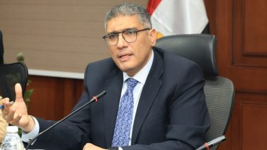 محافظ الجيزة