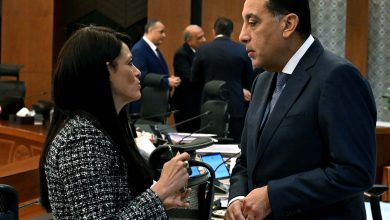 وزيرة التخطيط