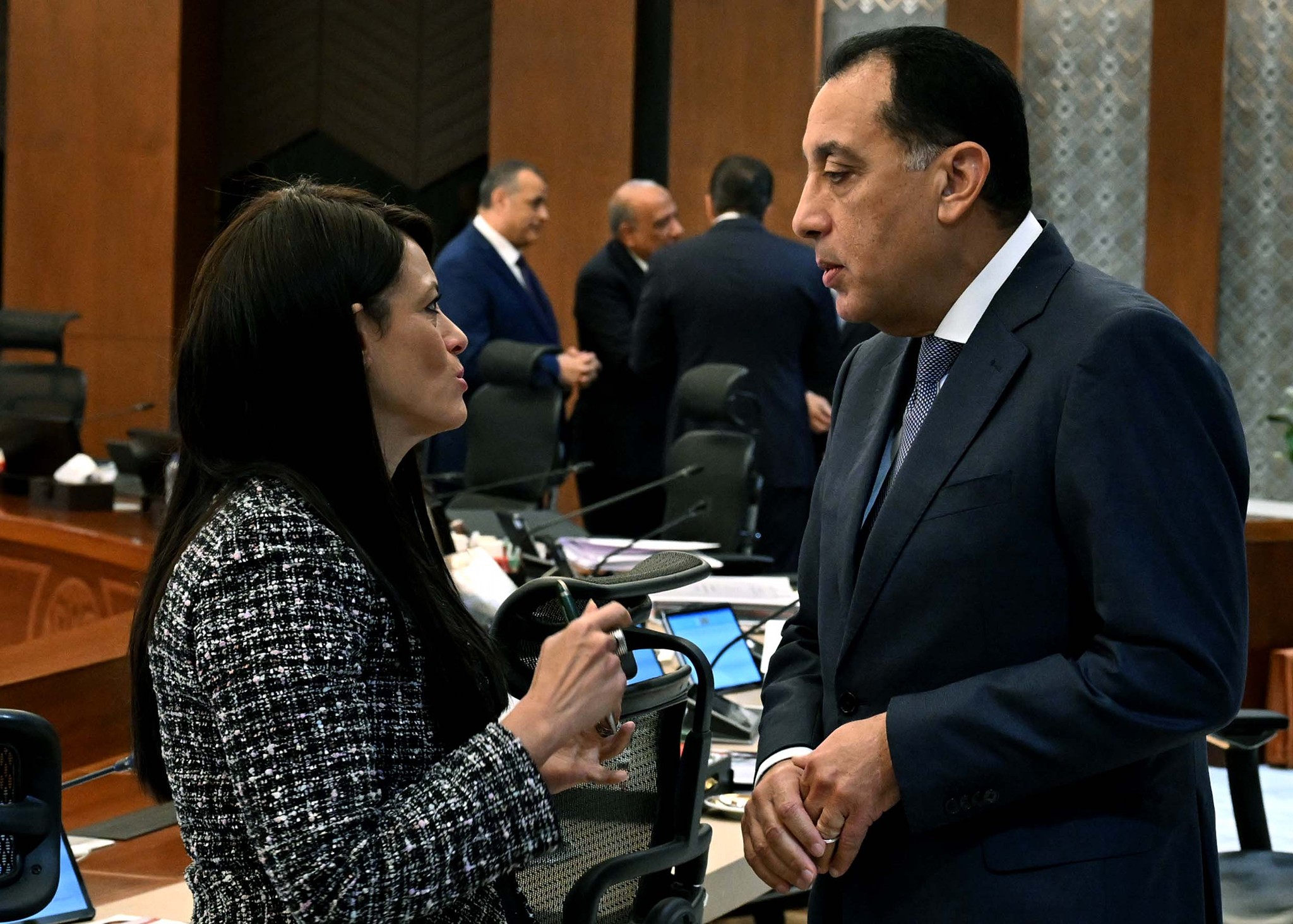 وزيرة التخطيط