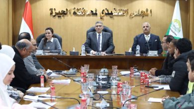 محافظ الجيزة