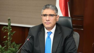 محافظ الجيزة