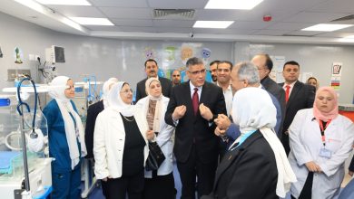 محافظ الجيزة