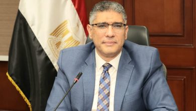 محافظ الجيزة