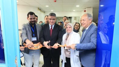 محافظ الجيزة