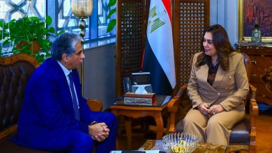 وزيرة التنمية