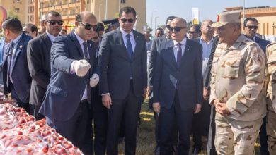 صندوق تحيا مصر