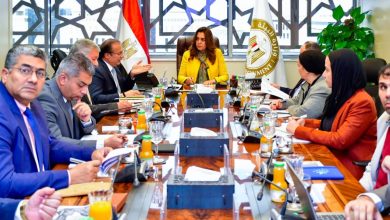 وزيرة التنمية