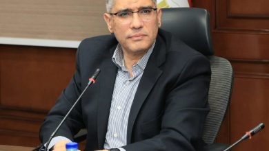 محافظ الجيزة