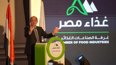 وزير المالية