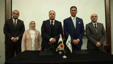 هيئة تنمية الصعيد