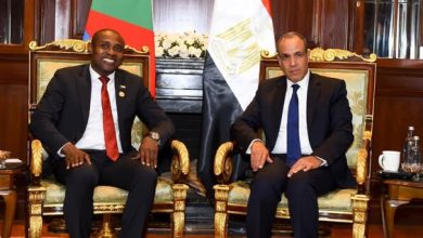 وزير الخارجية