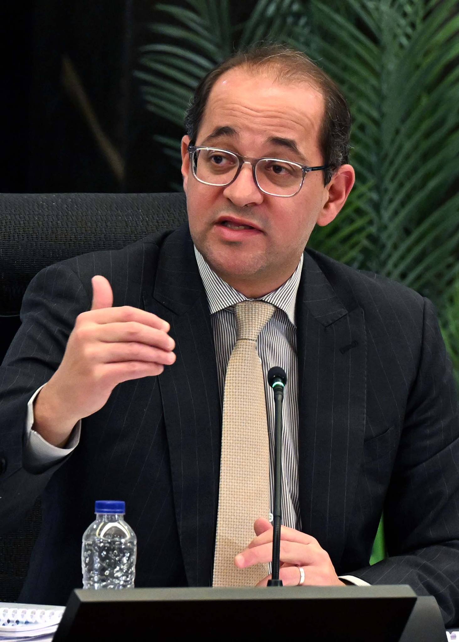 وزير المالية