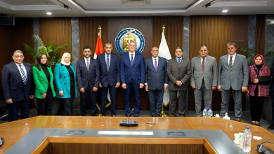 تعمل لأول مرة في مصر