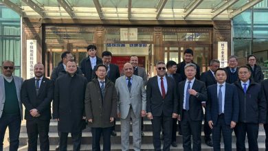 وزير الكهرباء