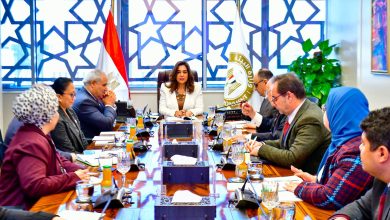 وزيرة التنمية