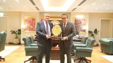 نائب رئيس الوزراء