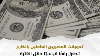 تحويلات المصريين العاملين بالخارج