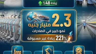 القابضة للقطن والغزل والنسيج