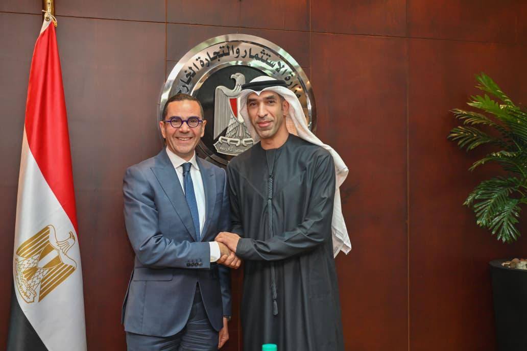 الحكومة المصرية