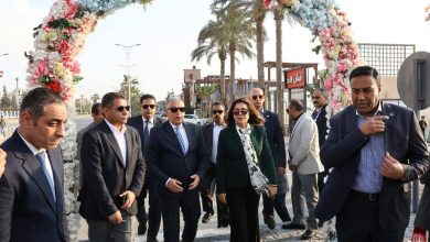 وزيرة التنمية