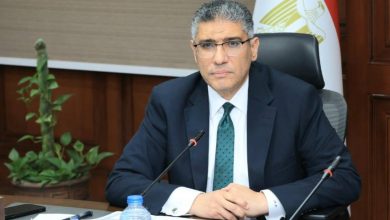 محافظ الجيزة