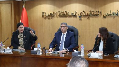 محافظ الجيزة