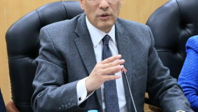 محافظ الجيزة