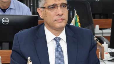 محافظ الجيزة