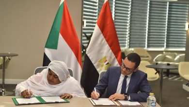 وزير الاستثمار