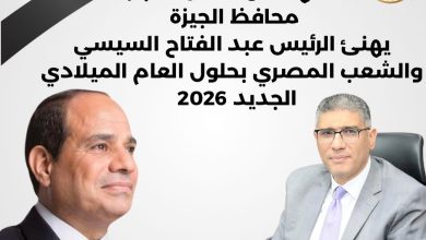 محافظ الجيزة