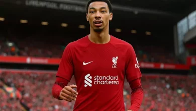 هوجو إيكيتيكي