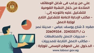 وزير العمل يعلن عن نشرة التوظيف نصف الشهرية