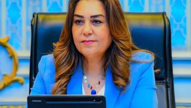 التنمية المحلية