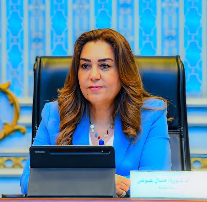 التنمية المحلية