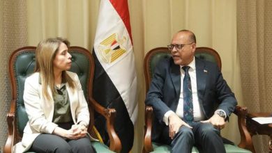 وزير العمل يستقبل خبيرة منظمة العمل