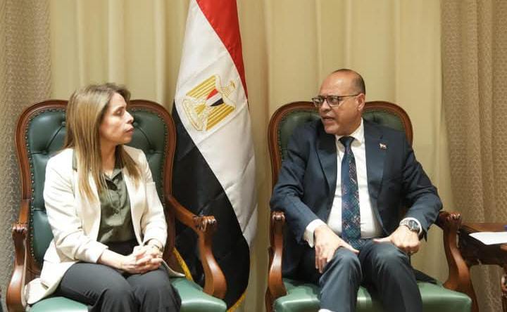 وزير العمل يستقبل خبيرة منظمة العمل