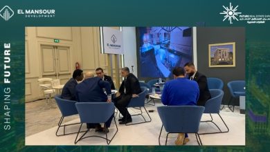 El Mansour Development