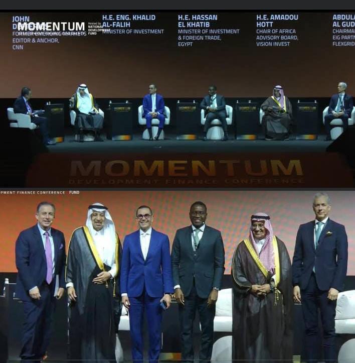 وزير الاستثمار