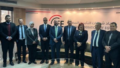 اتحاد شركات التأمين المصرية