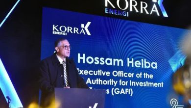 رئيس هيئة الاستثمار