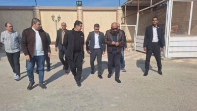 وزير الكهرباء