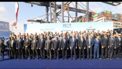 نائب رئيس مجلس الوزراء