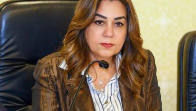 وزيرة التنمية