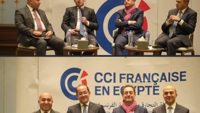 وزير المالية