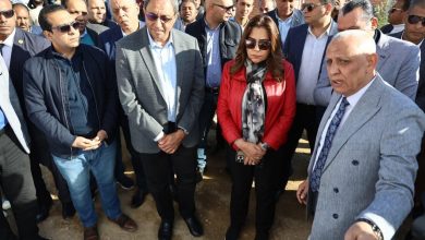 وزيرة التنمية