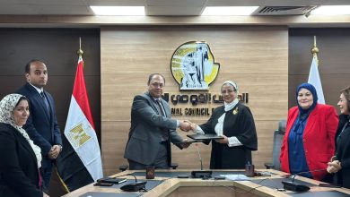 هيئة تنمية الصعيد